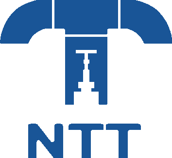 NTT VietNam Trading Engineering Company Limited